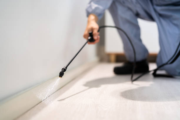 Rodent Entry Point Assessment in Knightdale