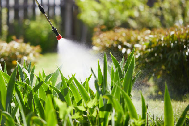 Tamper-Resistant Bait Stations for Rodents in Knightdale