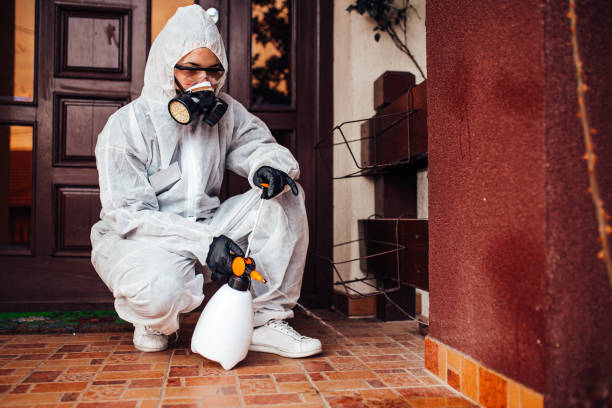 Attic and Crawl Space Rodent Treatment in Knightdale