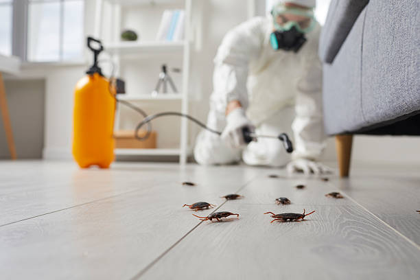 Commercial Rodent Management in Knightdale